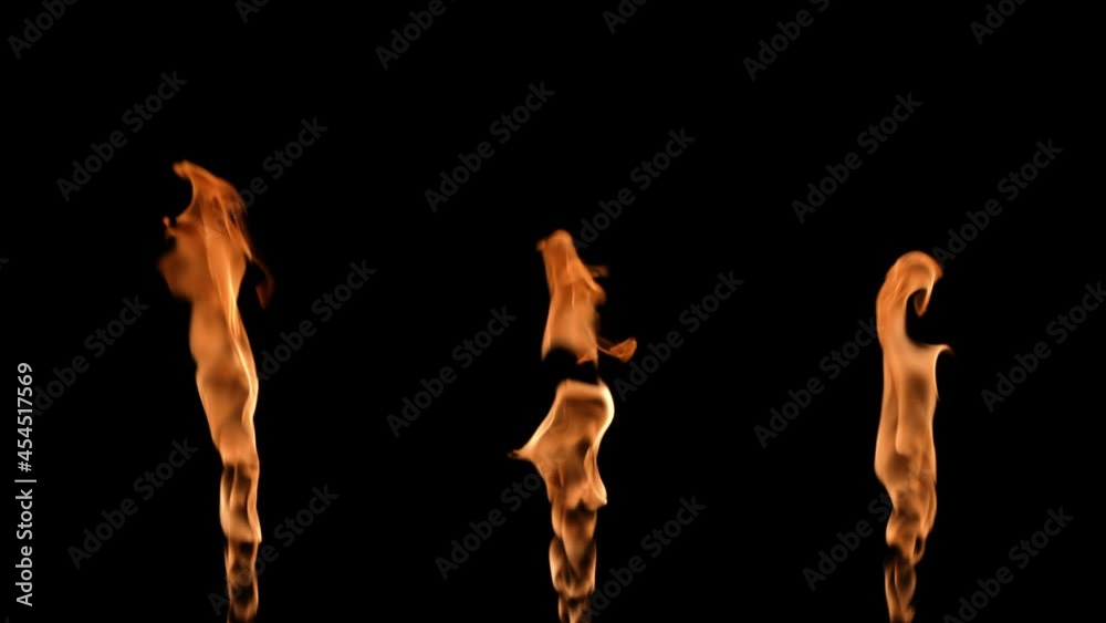 Three flames alternately light up and glow an orange yellow fire against black background. Real bonfire, burner or torch flares up in the dark. Fire glow, dangerous blazing fire close up. Slow motion. Three flames alternately light up and glow an orange yellow fire against black background. Real bonfire, burner or torch flares up in the dark. Fire glow, dangerous blazing fire close up. Slow motion.
