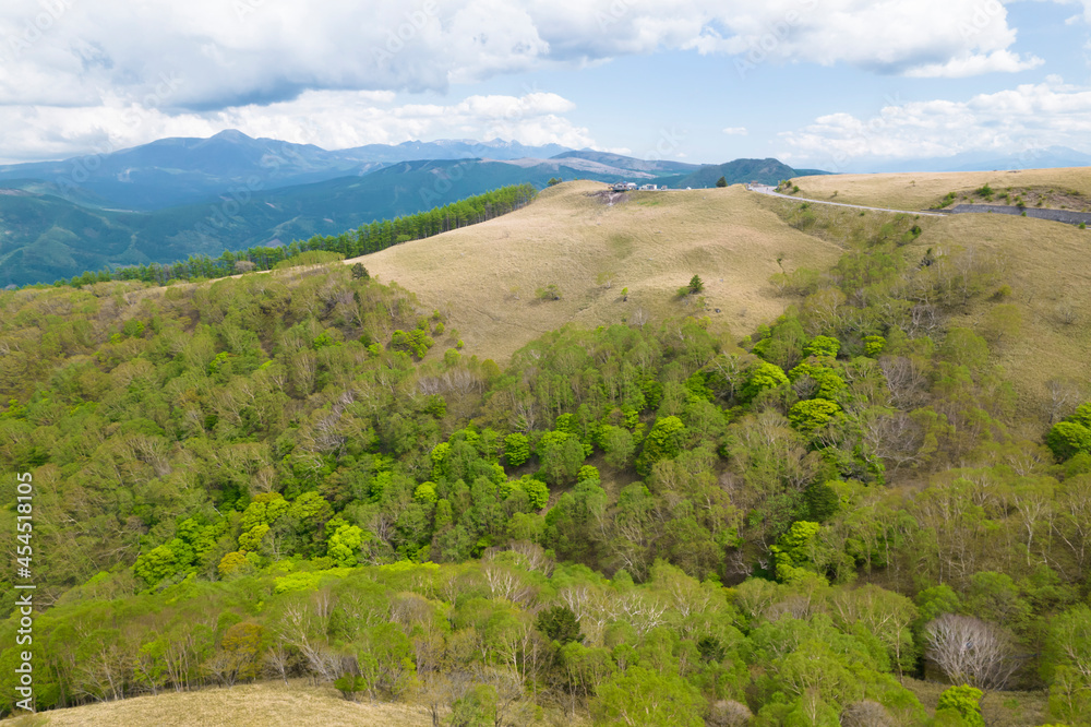 Fototapeta premium 霧ケ峰高原