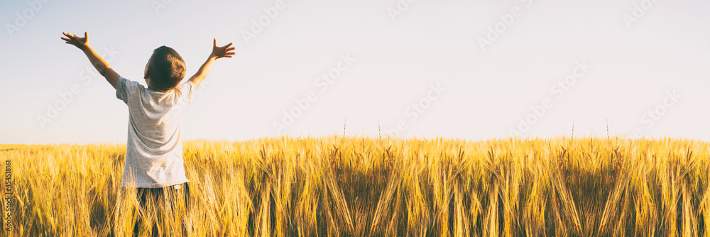 Boy raised his hands in the middle of the wheat field - obrazy, fototapety, plakaty 