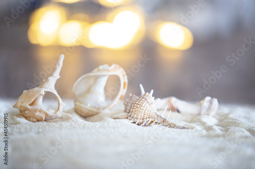 delicate light seashells in a festive decoration