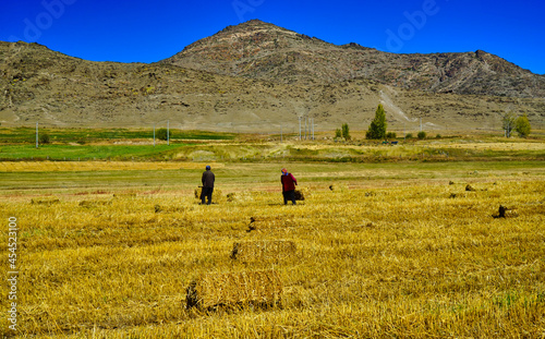 The woman and the man were walking on the grass with a haystack in their hands.