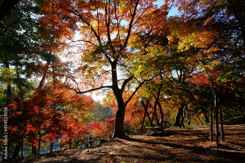 紅葉