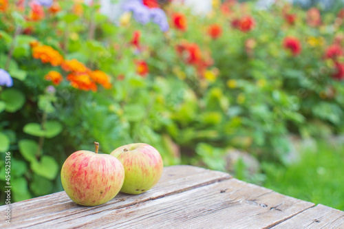 Two fresh apples lie on a wooden surface against the background of blooming flowers. Healthy food concept
