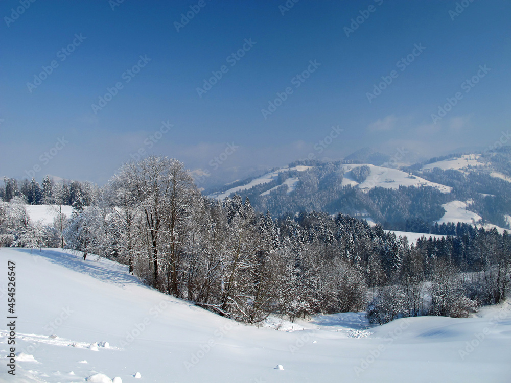 winter landscape with snow