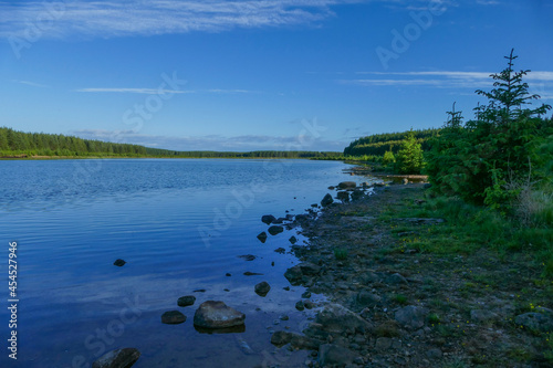 lake and forest