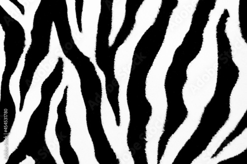 Fototapeta Naklejka Na Ścianę i Meble -  Zebra animal skin abstract fur pattern texture for design and print background