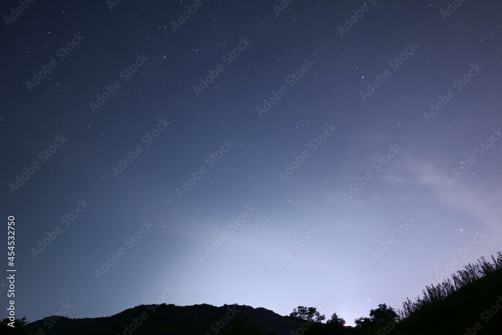 Wonderful night sky with stars and trees forest Wonderful night sky with stars and trees forest