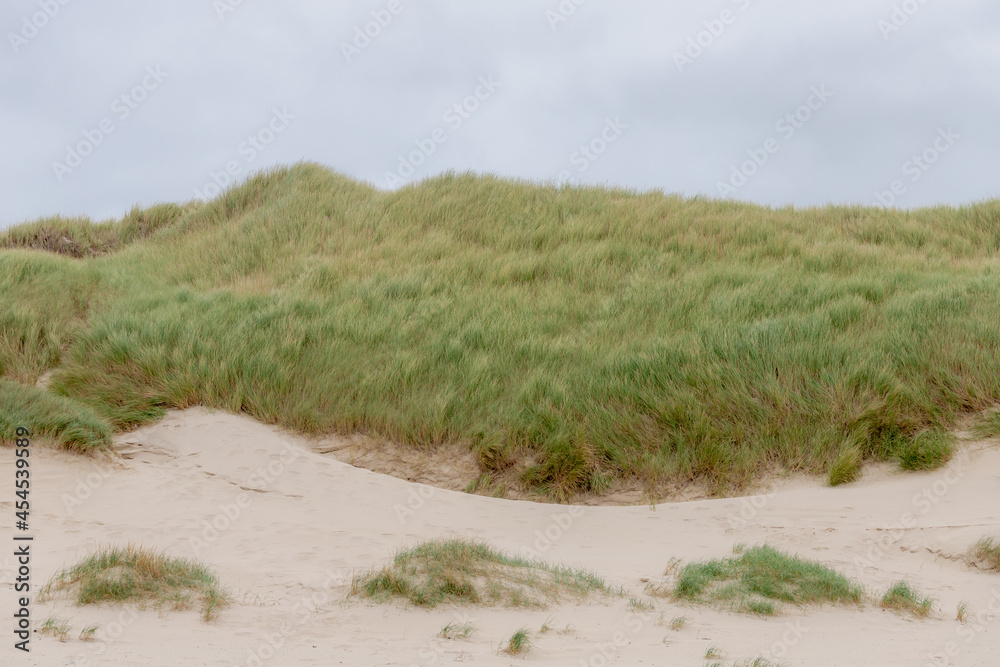 Beach view from the dunes or dyke at Dutch north sea coastline with european marram grass (beach grass) along the dyke under white grey cloudy sky and in summer, Noord Holland, Netherlands. Beach view from the dunes or dyke at Dutch north sea coastline with european marram grass (beach grass) along the dyke under white grey cloudy sky and in summer, Noord Holland, Netherlands.