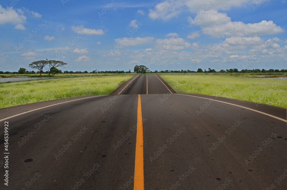 Naklejka premium Long road though the field on the hill
