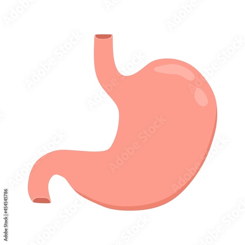 Vector illustration of stomach, suitable for advertising health and education products