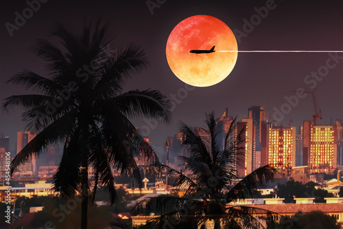 Weather climate for transportation and travel background with graph and chart for holiday travel presentation with silhouette palm trees and aircraft on dramatic full moon with purple twilight sky . © ekapolsira