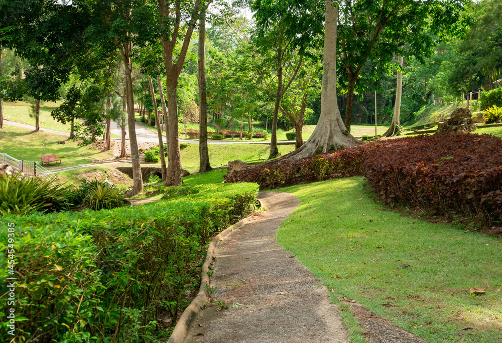 Walkway and big trees with green grass in the spring park.