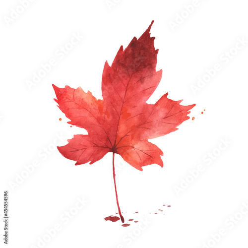 Watercolor red maple leaf