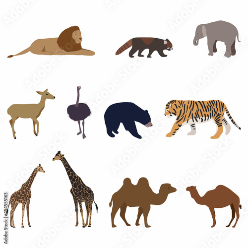 Wild animals set. Camel giraffe tiger lion elephant ostrich bear red panda