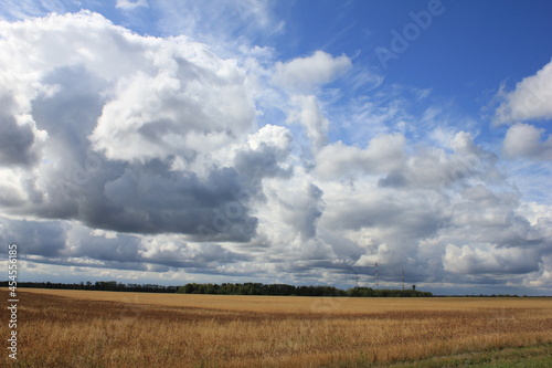 Big beautiful clouds over wheat field with forest landscape