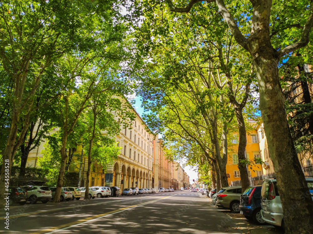 tree-lined avenue in the city of bologna in a sunny day of summer