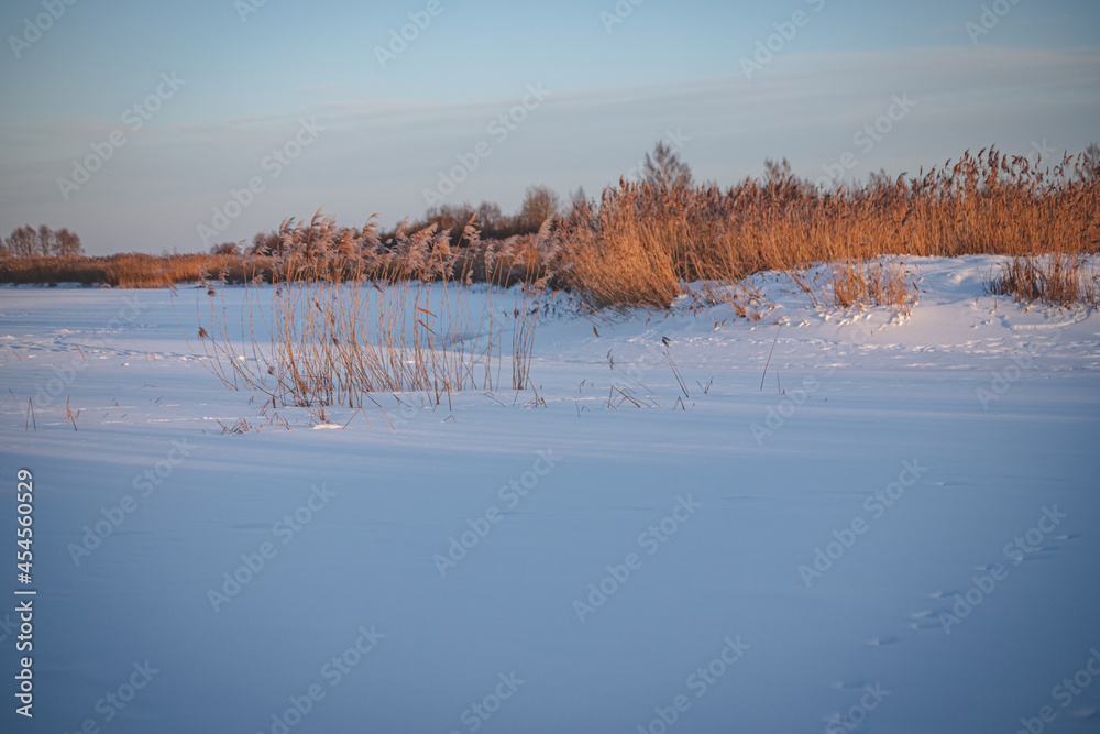 river bank with bare trees, snow covered ground, dry river reeds, blue sky, morning sunrise light. Latvia landscape river bank with bare trees, snow covered ground, dry river reeds, blue sky, morning sunrise light. Latvia landscape