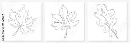 Set of leaves, continuous line drawing leaf, modern single line art, smooth lines in minimalism. Botanical arts, solid line set of tree leaves