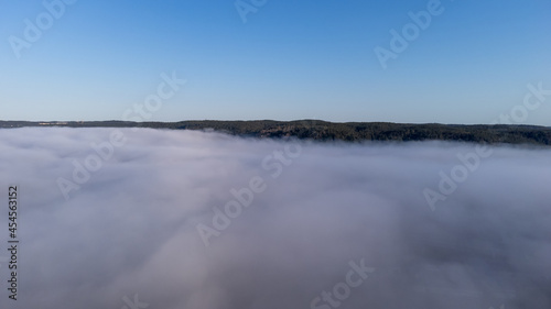 Misty morning in August. Nature photography of forest and fog taken with a drone in Sweden. Deciduous trees seen from above  aerial  bird s eye view. 