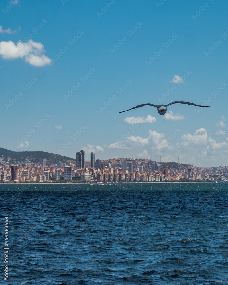 Seagull flying over the sea toward the Istabul ity