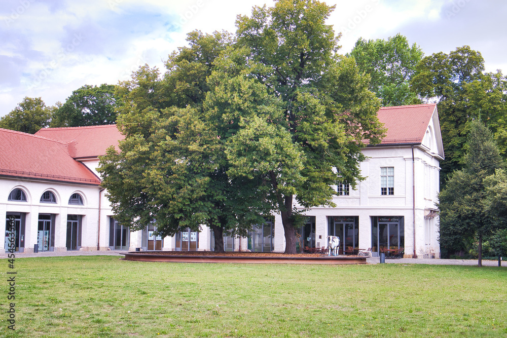 Wiese und Blick auf das Schloss Köthen, Sachsen Anhalt, Deutschland Wiese und Blick auf das Schloss Köthen, Sachsen Anhalt, Deutschland
