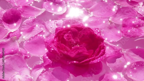 Pink rose with petals swimming in the water. Water drops falling on the rose. Slow motion. Bright sunny scene with sparkling reflection and lens flare. Beautiful nature texture.