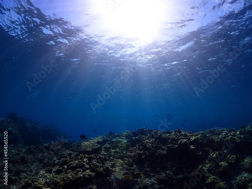 神秘的な青の美ら海／沖縄・黒島（竹富町）