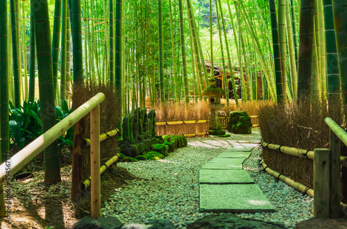 鎌倉　報国寺　竹の庭