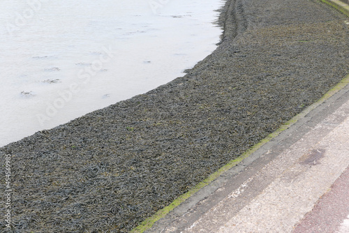 Waterway with promenade covered in seaweed and dull sea beyond