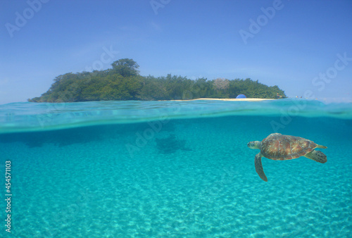 underwater paradise island , sea turtle .