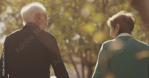 4k Back view of elderly couple holding hands while walking together in park . Rear view of romantic senior couple resting , relaxing in nature . Happiness people lifestyle . Slow motion footage .
