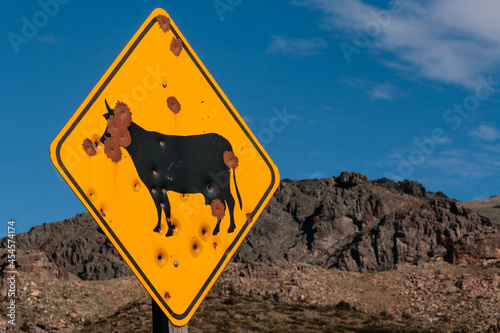 Cartel vial de animales sueltos en la ruta, Patagonia