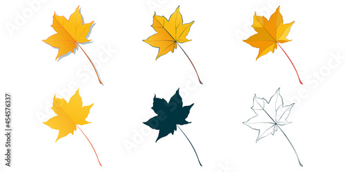 Big set of vector leaf shapes drawing in different styles  hand-drawn sketch  silhouette  flat  cartoon are isolated on white background. Gold maple leaves coloring sheet.