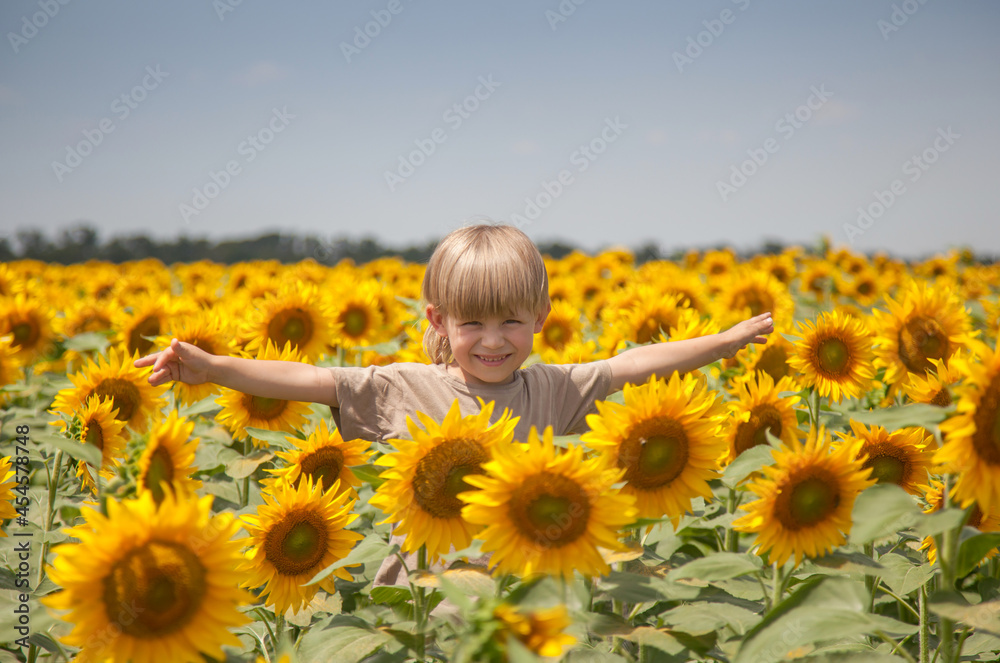 a happy boy with blond hair stands with his hands raised to the sides in a field with sunflowers. a happy boy with blond hair stands with his hands raised to the sides in a field with sunflowers.