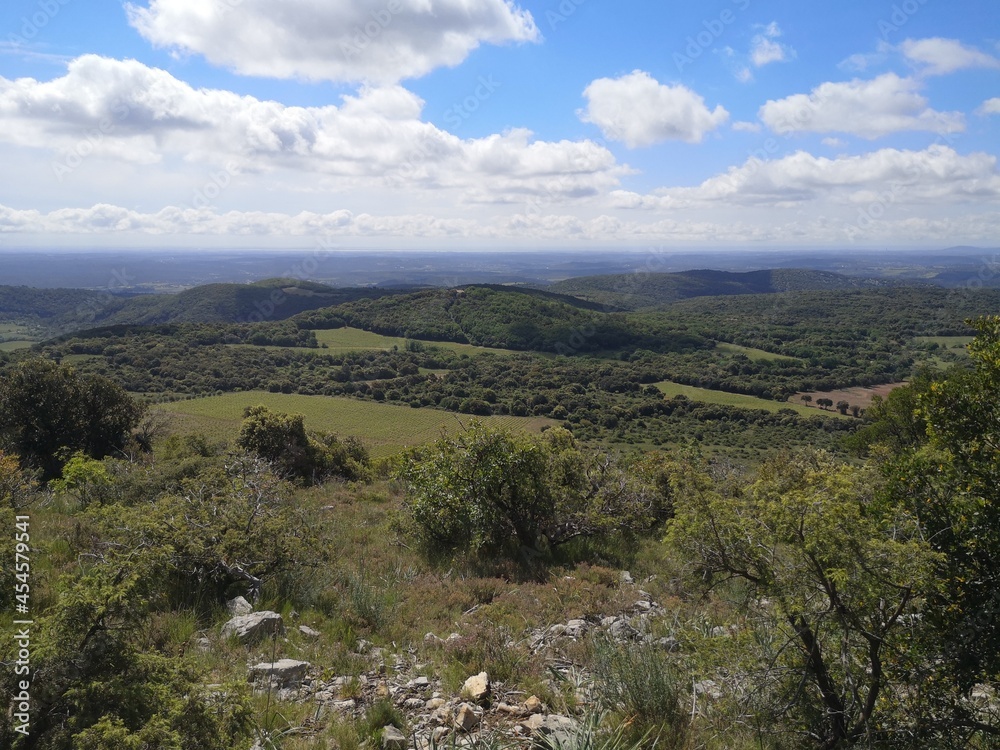 Naklejka premium montagne