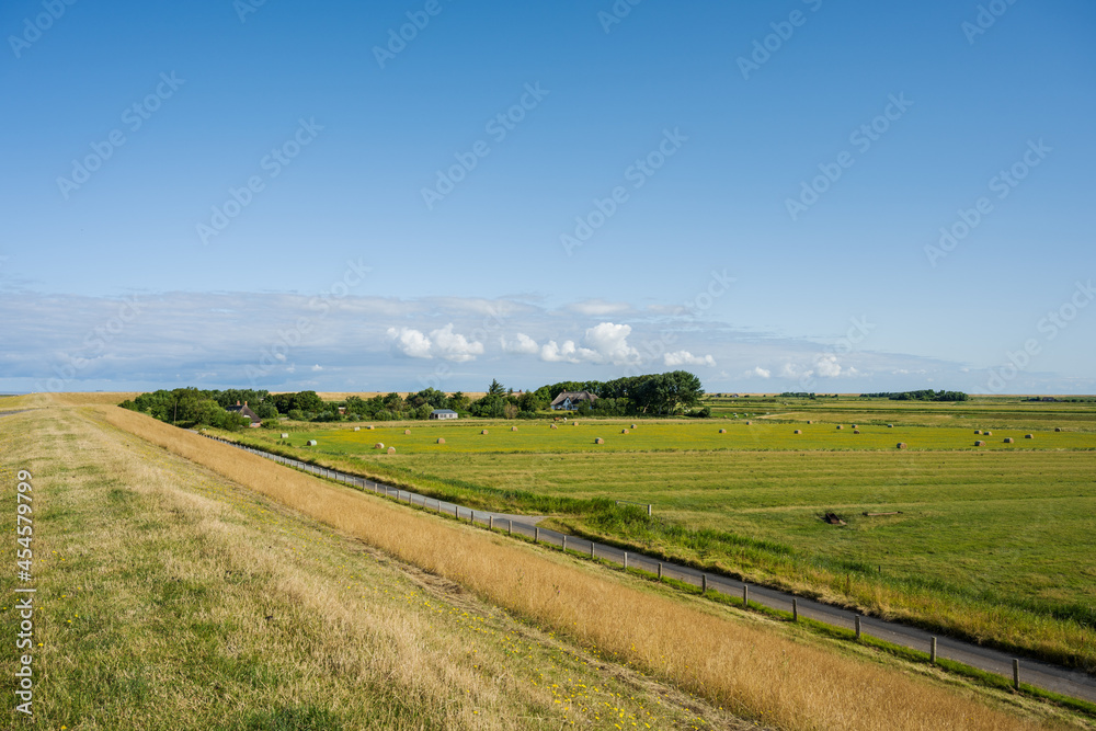 Nordseeküste ein Bauernhof hinter dem Deich und grüne Grasweiden Nordseeküste ein Bauernhof hinter dem Deich und grüne Grasweiden