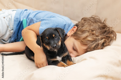 A boy with a little dog playing at home.