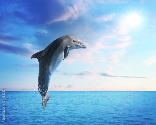 Tableau sur Toile Beautiful bottlenose dolphin jumping out of sea with clear blue water on sunny d