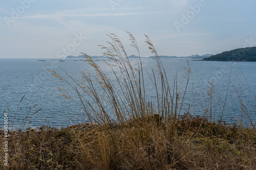 The Galician coast with the Cies Islands in the background.