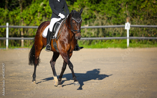 Dressage horse with rider in the dressage square on the diagonal in step.. © RD-Fotografie