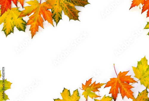 Frame of autumn maple leaves on white background with space for text. Top view  flat lay