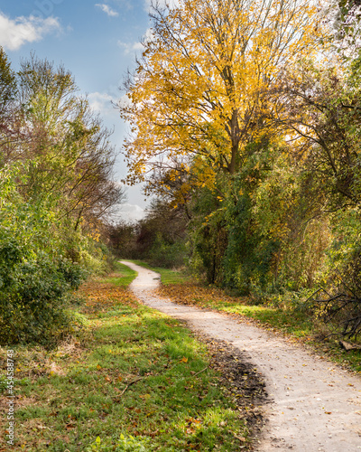 A trail through a medow in beautiful autumn colours.