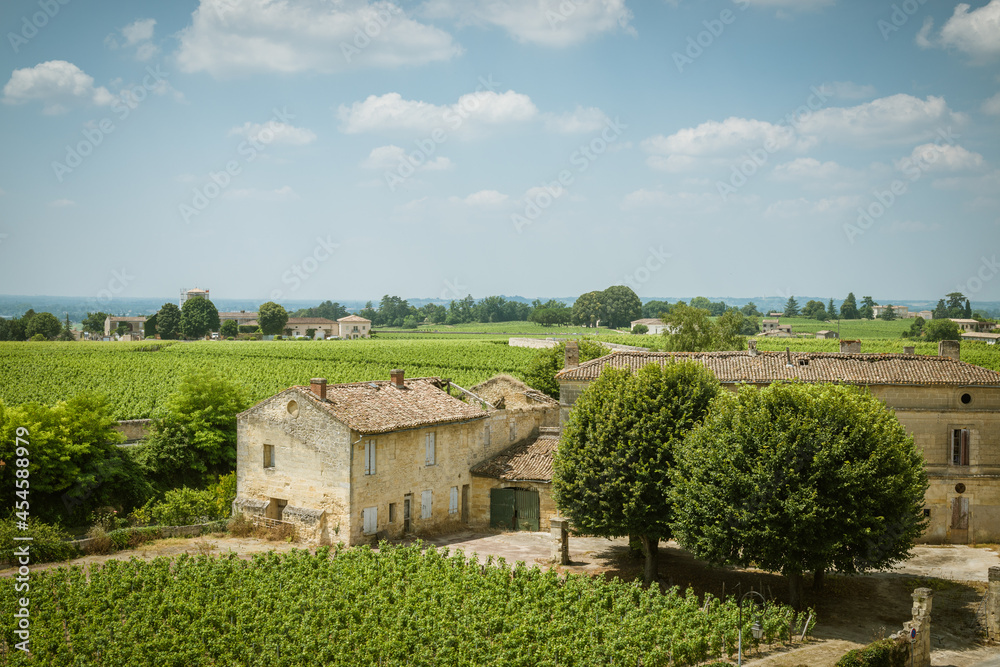 The region of Saint-Emilion in the south of France