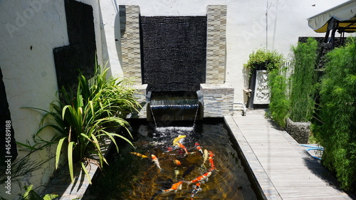 Koi fish. Colorful decorative fish float in an artificial pond