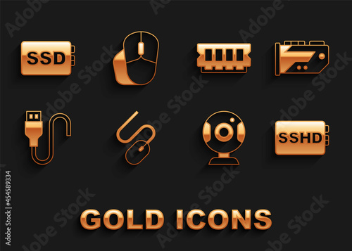 Set Computer mouse, Video graphic card, SSHD, Web camera, USB cable cord, RAM, random access memory, SSD and icon. Vector