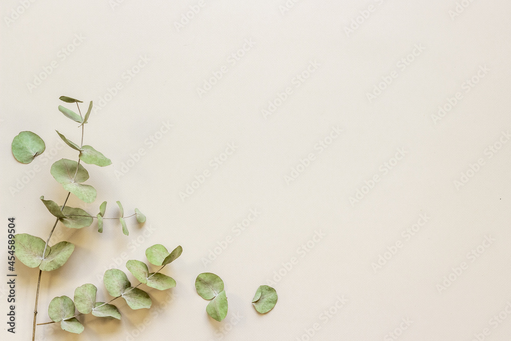 Eucalyptus leaves and branches pattern flat lay - obrazy, fototapety, plakaty 