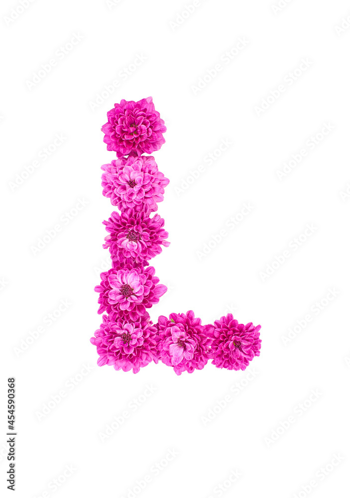 Letter L made of flowers, figures from pink Chrysanthemum, isolated on white background.