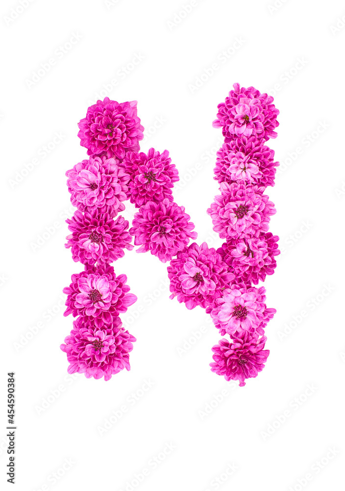Letter N made of flowers, figures from pink Chrysanthemum, isolated on white background.