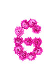 Letter G made of flowers, figures from pink Chrysanthemum, isolated on white background.