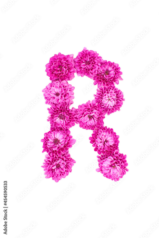 Letter R made of flowers, figures from pink Chrysanthemum, isolated on white background. Letter R made of flowers, figures from pink Chrysanthemum, isolated on white background.